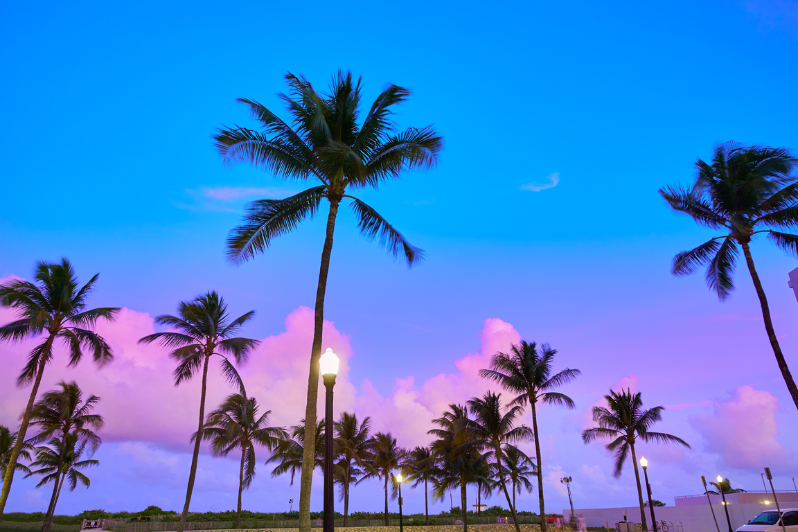 Miami Beach South Beach Sunset Palm Trees Florida